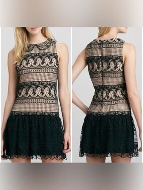 Alice + Olivia Peri Crochet Lace Collar Dress